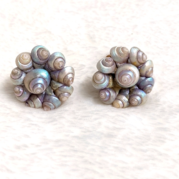 Jewelry - Vintage 1950's Sea Shell Clip Earrings Screw Backs